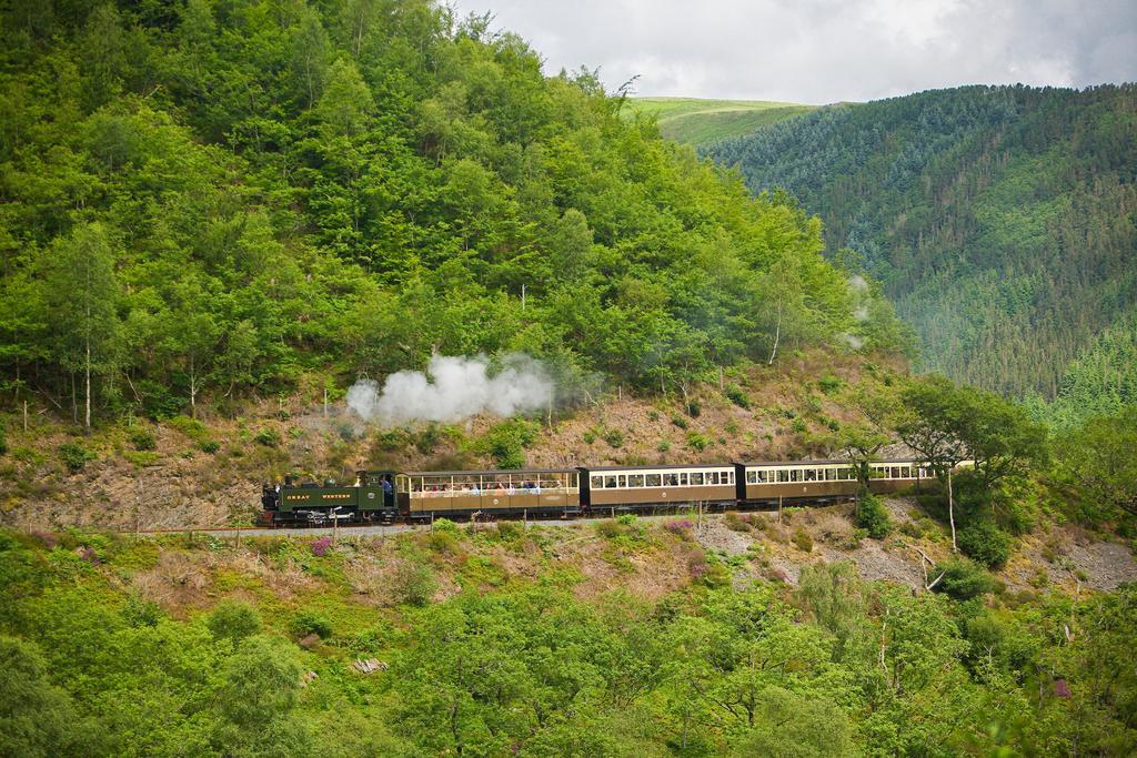 Nant Yr Onnen B&B And Holiday CottageTregaron エクステリア 写真
