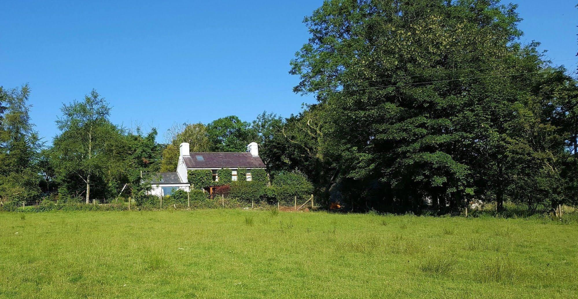 Nant Yr Onnen B&B And Holiday CottageTregaron エクステリア 写真
