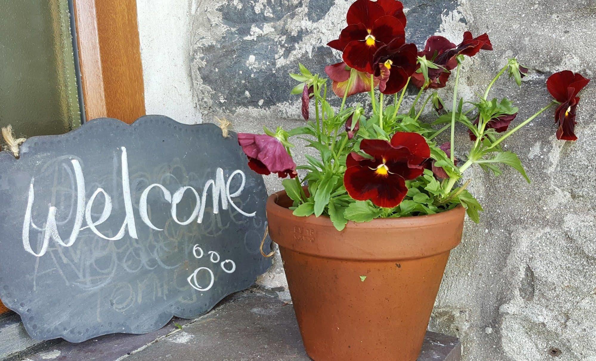 Nant Yr Onnen B&B And Holiday CottageTregaron エクステリア 写真